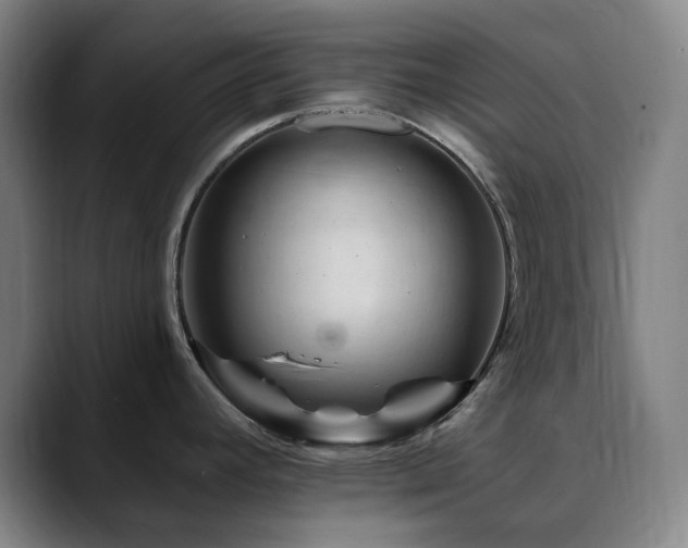 X0000090481392200707131308
