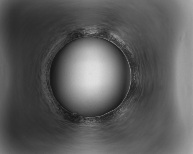 X0000090481393200707131307
