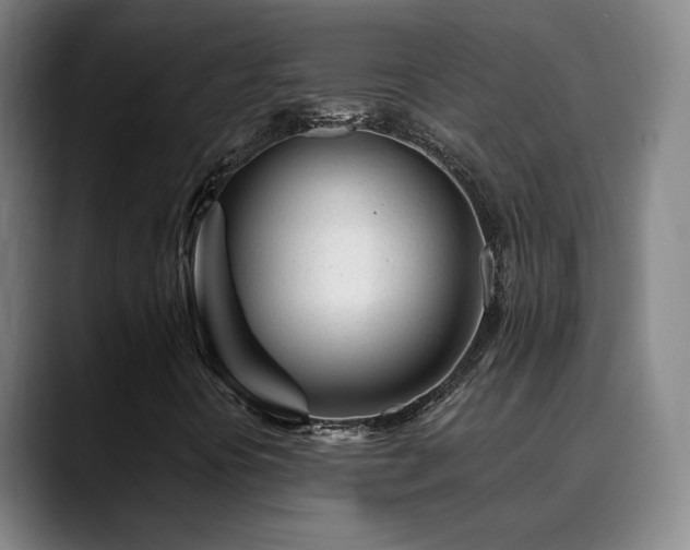 X0000090481394200707131307