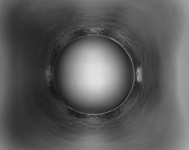 X0000090481395200707131307