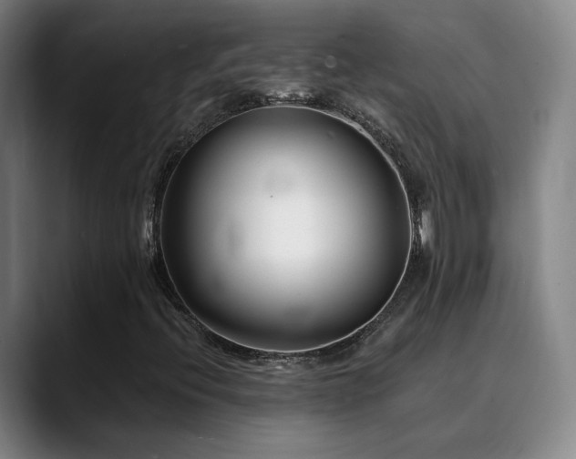 X0000090481396200707131307