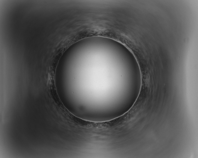 X0000090481397200707131307