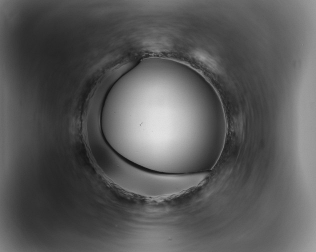 X0000090481398200707131307
