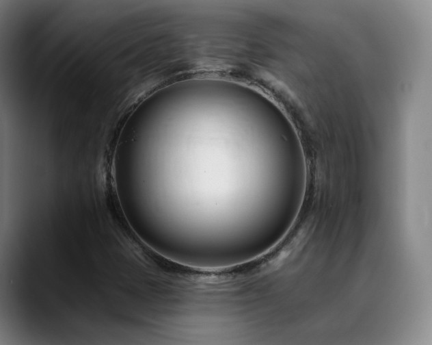 X0000090481401200707131307