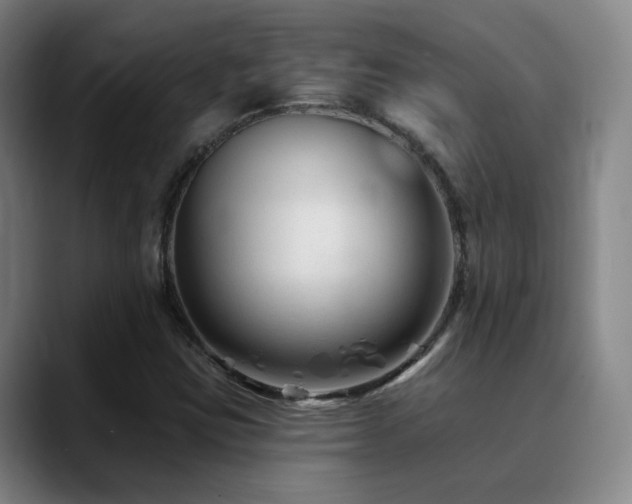 X0000090481403200707131307