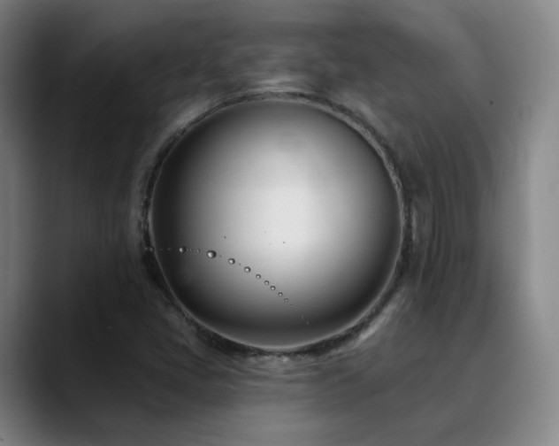 X0000090481405200707131307