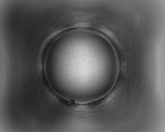 X0000090481406200707131307
