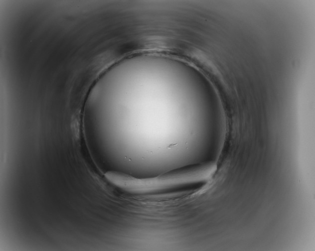 X0000090481409200707131307