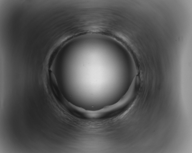X0000090481410200707131307