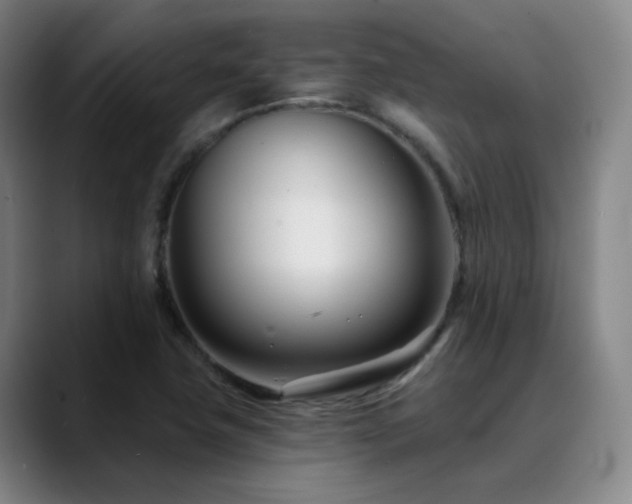 X0000090481411200707131307