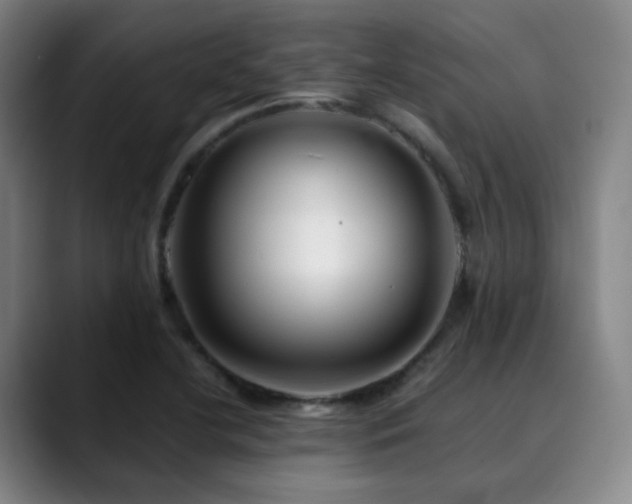 X0000090481412200707131307