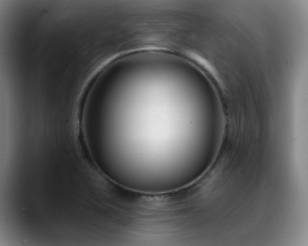 X0000090481415200707131307