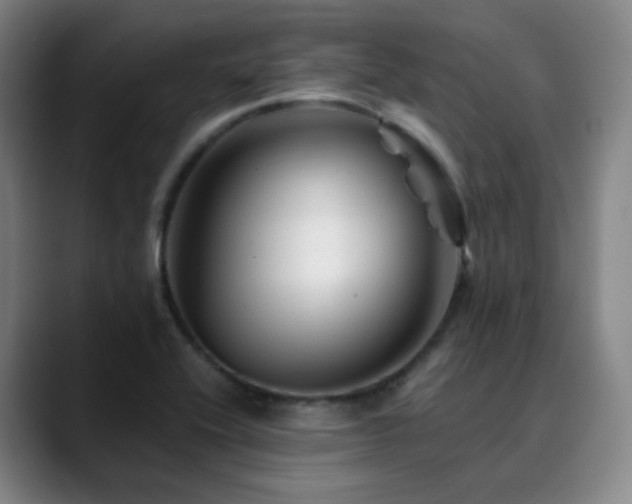 X0000090481416200707131307