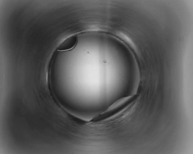 X0000090481419200707131307