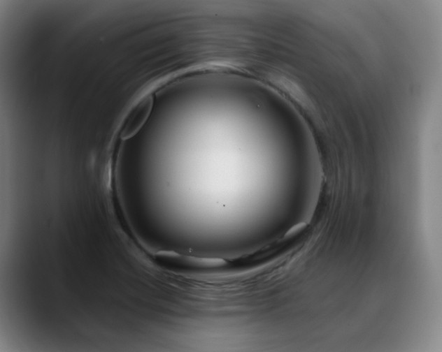 X0000090481420200707131307