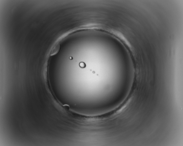 X0000090481421200707131307