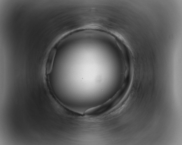 X0000090481422200707131307