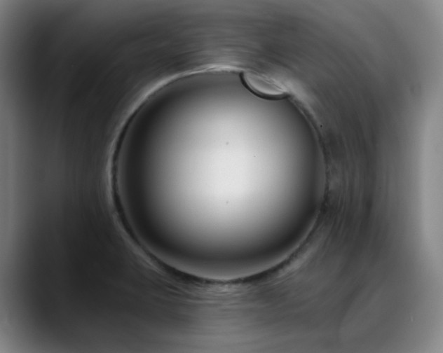 X0000090481423200707131307