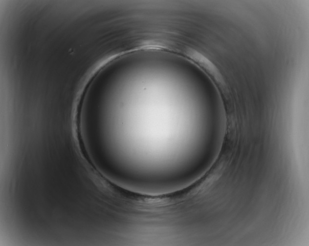 X0000090481427200707131307