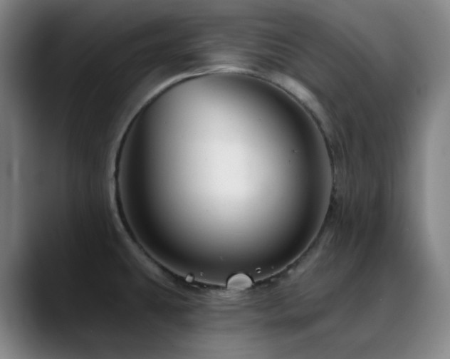 X0000090481431200707131308