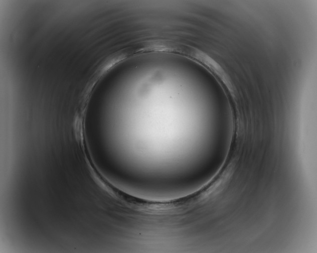 X0000090481433200707131308
