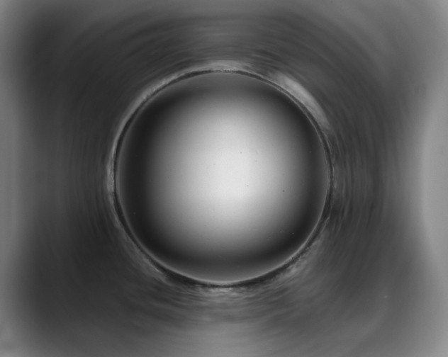 X0000090481436200707131308