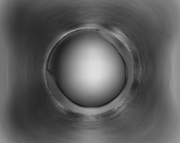 X0000090481438200707131308