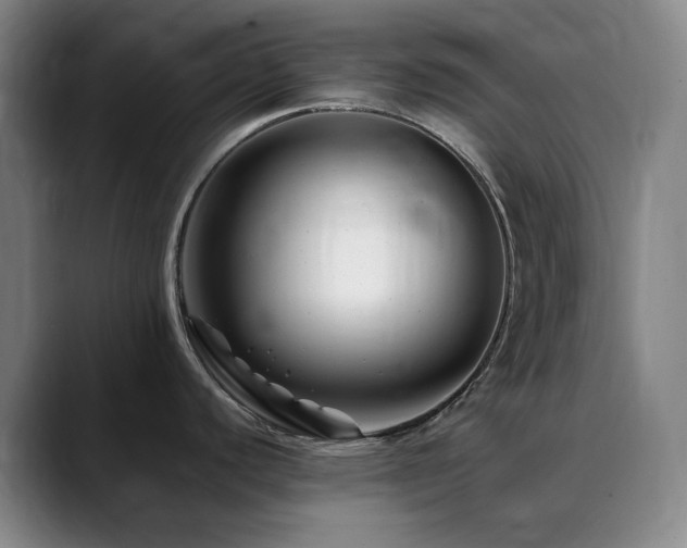 X0000090481440200707131308