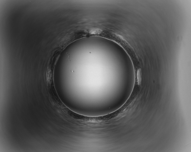 X0000090481443200707131307