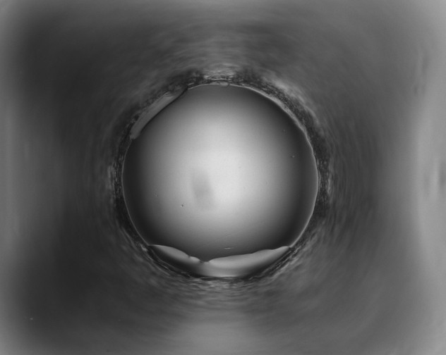 X0000090481445200707131307