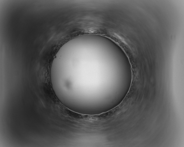 X0000090481446200707131307