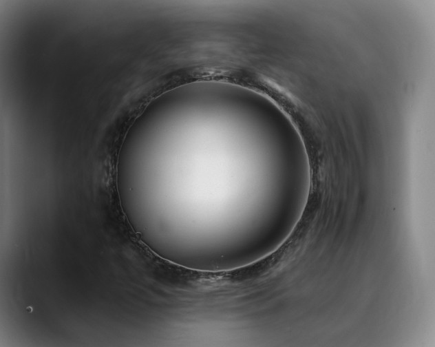 X0000090481447200707131307