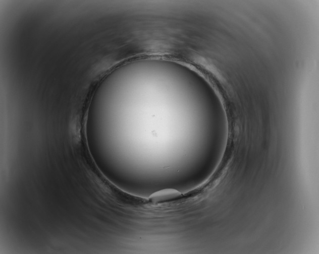 X0000090481451200707131307