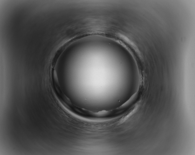 X0000090481453200707131307