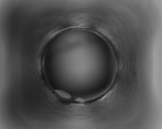 X0000090481455200707131307