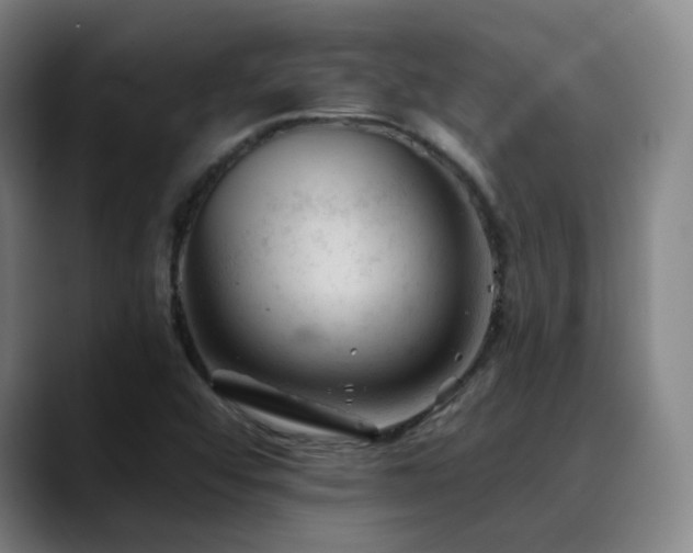 X0000090481456200707131307