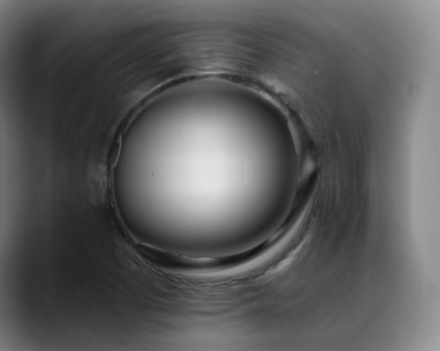 X0000090481457200707131307