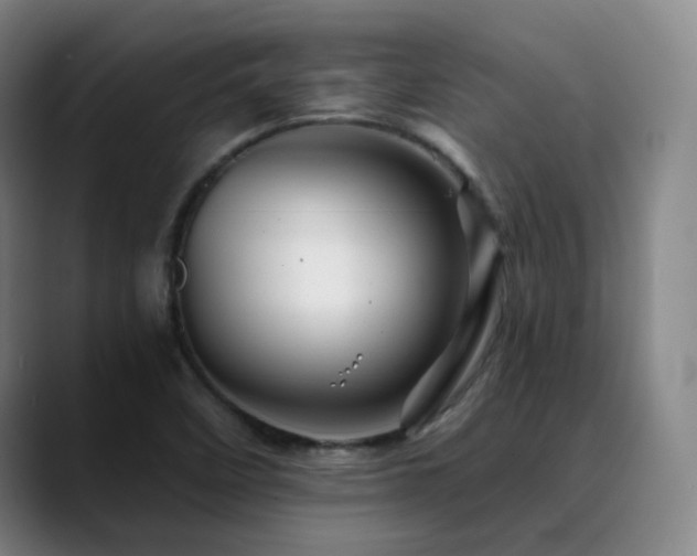 X0000090481458200707131307