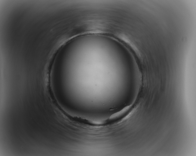 X0000090481459200707131307
