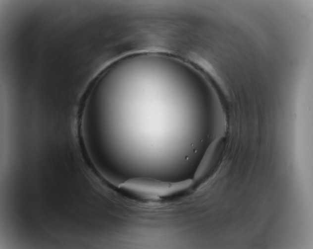 X0000090481460200707131307