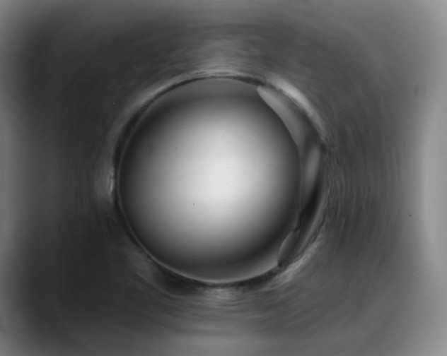 X0000090481461200707131307