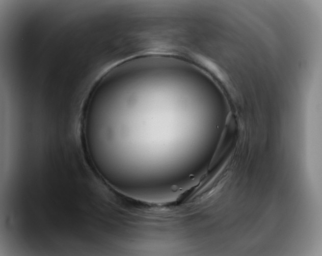 X0000090481463200707131307