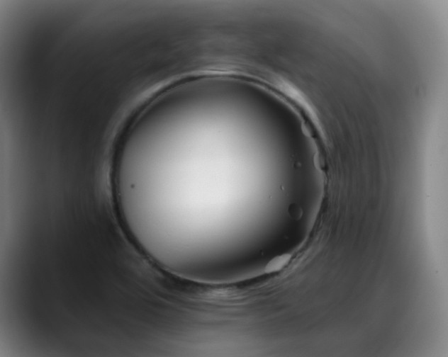 X0000090481464200707131307