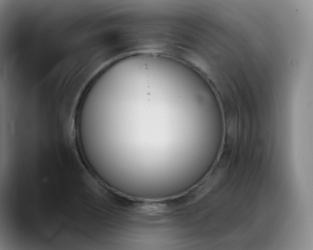 X0000090481466200707131307