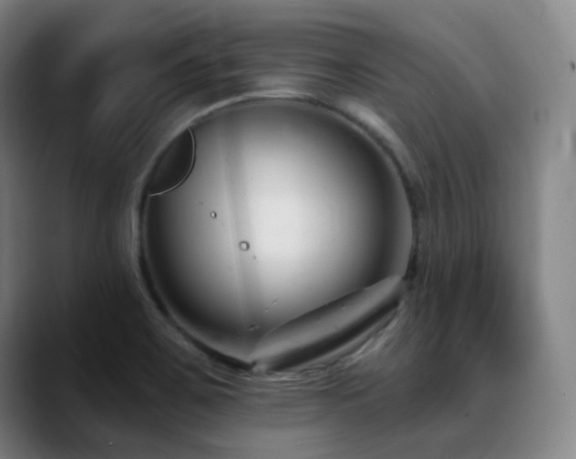 X0000090481467200707131307