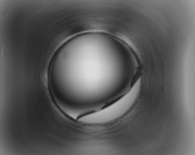 X0000090481468200707131307