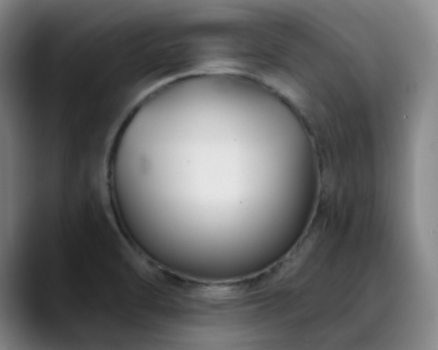 X0000090481470200707131307