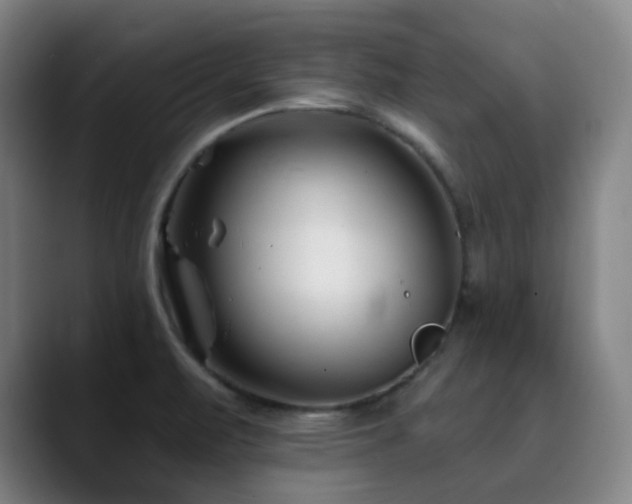 X0000090481471200707131307