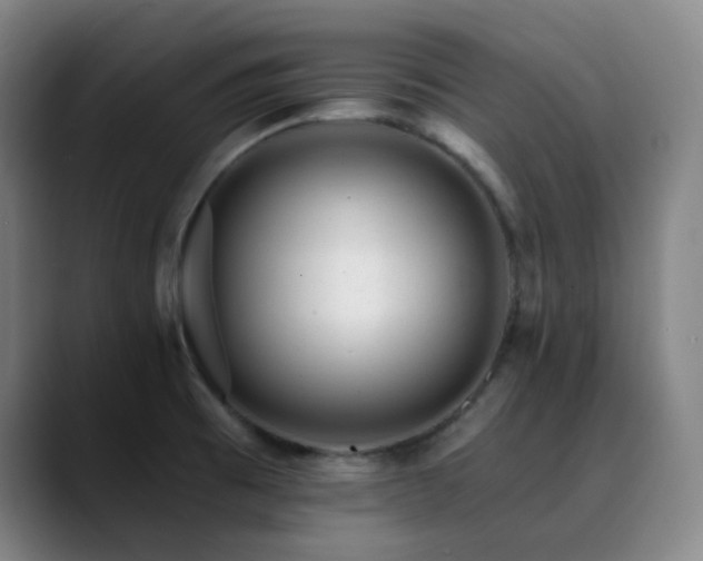 X0000090481473200707131307