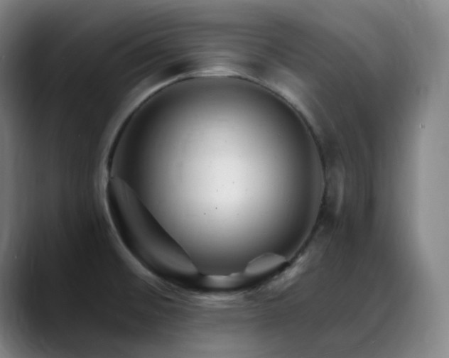 X0000090481476200707131307